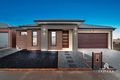 Property photo of 37 Bindi Avenue Tarneit VIC 3029