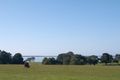 Property photo of 2 Butlers Point Drive Newlands Arm VIC 3875