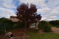 Property photo of 29 Connor Street Stanthorpe QLD 4380