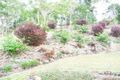 Property photo of 20 Brangus Court Kuttabul QLD 4741