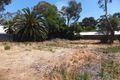 Property photo of 17A Liddiard Street McLaren Vale SA 5171