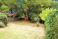 Property photo of 12 Crieff Street Ashbury NSW 2193