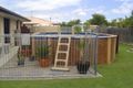 Property photo of 53 Bronzewing Crescent Deception Bay QLD 4508