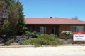 Property photo of 20 Hall Crescent Loxton SA 5333