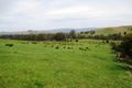 Property photo of 20 Brooks Cutting Road Alexandra VIC 3714