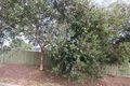 Property photo of 8 Jerilderie Drive Happy Valley SA 5159