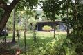 Property photo of LOT 4 Cape Tribulation Road Cape Tribulation QLD 4873