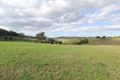 Property photo of 265 Boolarra-Mirboo North Road Mirboo North VIC 3871