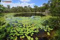 Property photo of 54 Richards Road Pacific Haven QLD 4659