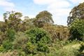 Property photo of 3 Second Avenue Lane Cove NSW 2066