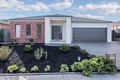 Property photo of 12 Haig Street Mernda VIC 3754
