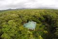 Property photo of 21 White Beech Road Cow Bay QLD 4873