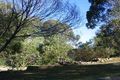 Property photo of 24 Dendrobium Crescent Elanora Heights NSW 2101