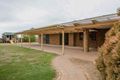 Property photo of 53 Reserve Road Eudunda SA 5374