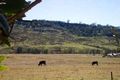 Property photo of 18 Mallam Road Picton NSW 2571