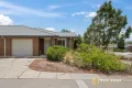 Property photo of 6/139-141 Macfarlane Burnet Avenue Macgregor ACT 2615