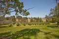 Property photo of 797 Allyn River Road Allynbrook NSW 2311
