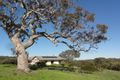 Property photo of 69 Vale Road Highland Valley SA 5255