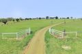 Property photo of 342 Evans Road Milford QLD 4310