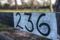 Property photo of 236 Maude Hill Road Deepwater QLD 4674