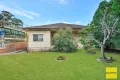 Property photo of 17 Bowden Street Cabramatta NSW 2166