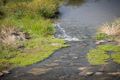 Property photo of 47 Pilatus Crescent Point Cook VIC 3030