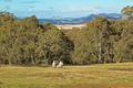 Property photo of 133 Native Corners Road Campania TAS 7026