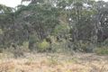 Property photo of 704 Northangera Road Mongarlowe NSW 2622