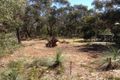 Property photo of 6 Chatswood Drive Anglesea VIC 3230