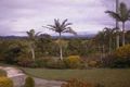 Property photo of 643 Dulguigan Road Dulguigan NSW 2484
