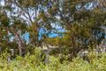Property photo of 60 Smith Street Lorne VIC 3232
