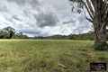 Property photo of 134-152 Tremayne Road Mundoolun QLD 4285