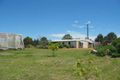 Property photo of 11717 Clarence Way Tabulam NSW 2469