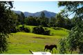 Property photo of 12 Mangifera Close Wights Mountain QLD 4520