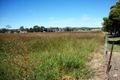 Property photo of 53 Robertson Road Raceview QLD 4305