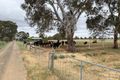 Property photo of 358 Vise Road Bamawm VIC 3561