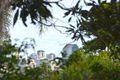 Property photo of 3/77 Forbes Street Hawthorne QLD 4171
