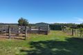 Property photo of 20 Hodgetts Road Gorae VIC 3305