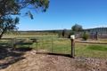 Property photo of 20 Hodgetts Road Gorae VIC 3305