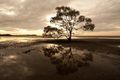 Property photo of 77 Oquinn Street Nudgee Beach QLD 4014