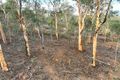 Property photo of 16 Broadgrounds Place Toodyay WA 6566