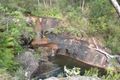 Property photo of 928 Meryla Road Meryla NSW 2577