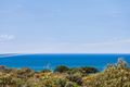 Property photo of 225 Great Ocean Road Anglesea VIC 3230