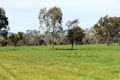 Property photo of 228 Perryman Lane Table Top NSW 2640
