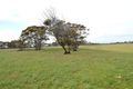 Property photo of LOT 416 Pellaring Flat Road Mannum SA 5238