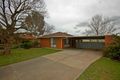 Property photo of 23 Incarnie Crescent Wagga Wagga NSW 2650