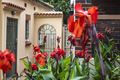Property photo of 76 Styles Street Leichhardt NSW 2040