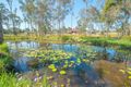 Property photo of 61-63 Blue Heeler Drive New Beith QLD 4124