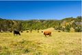 Property photo of 660 Keerrong Road Keerrong NSW 2480