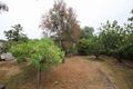 Property photo of 22 Elizabeth Street Mannum SA 5238